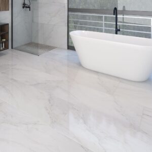 Glazed Porcelain